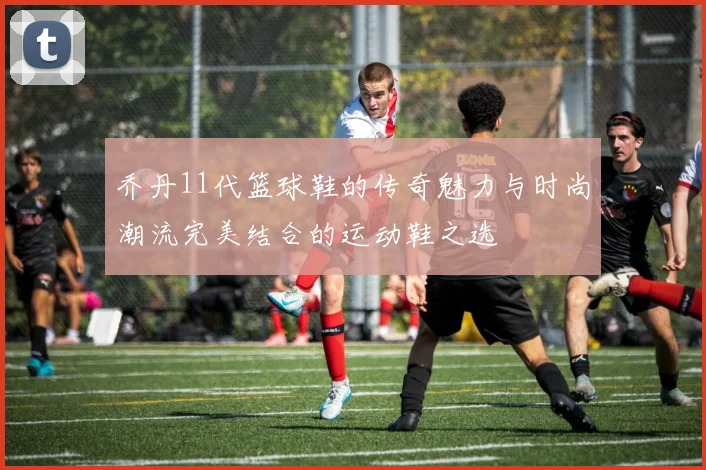 乔丹11代篮球鞋的传奇魅力与时尚潮流完美结合的运动鞋之选
