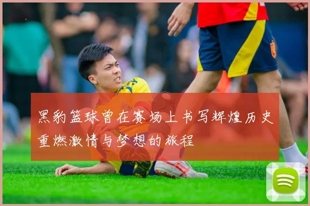 黑豹篮球曾在赛场上书写辉煌历史重燃激情与梦想的旅程