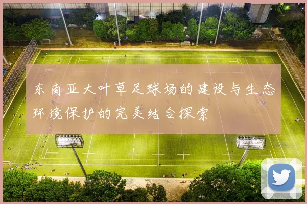 东南亚大叶草足球场的建设与生态环境保护的完美结合探索