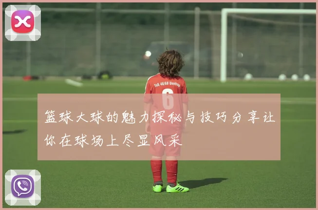 篮球大球的魅力探秘与技巧分享让你在球场上尽显风采